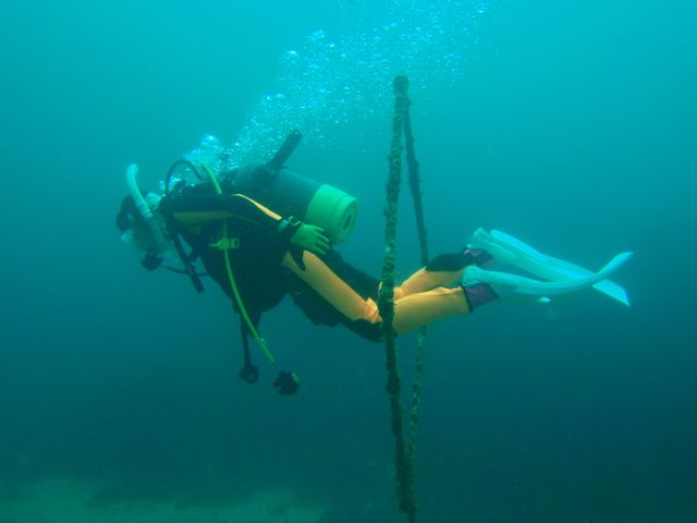 http://www.aquamarine-dive.net/blog/index.html/2012/08/12/P8123152.jpg
