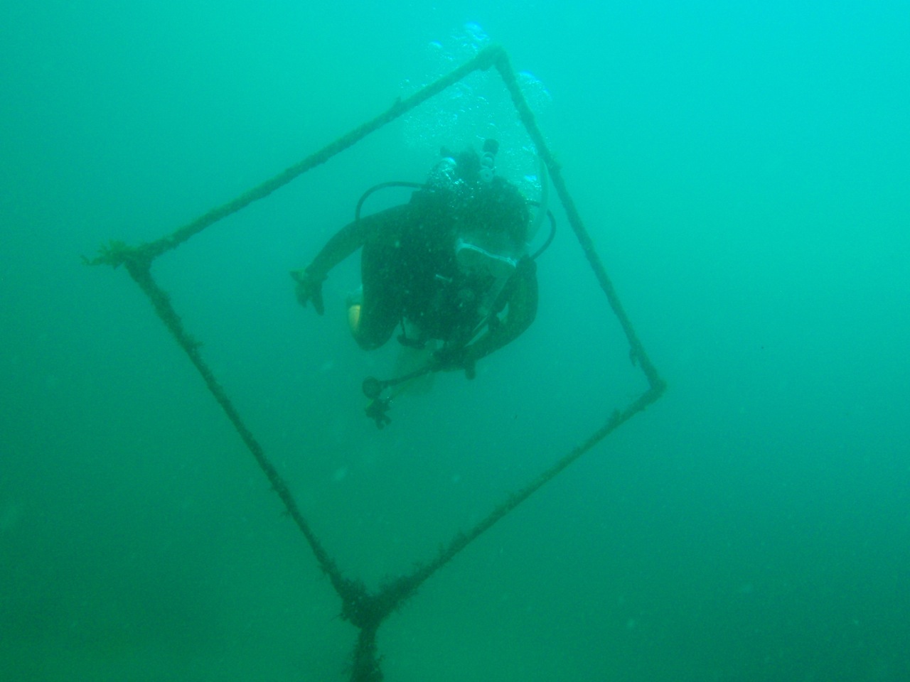http://www.aquamarine-dive.net/blog/index.html/2014/08/02/P8023224.jpg