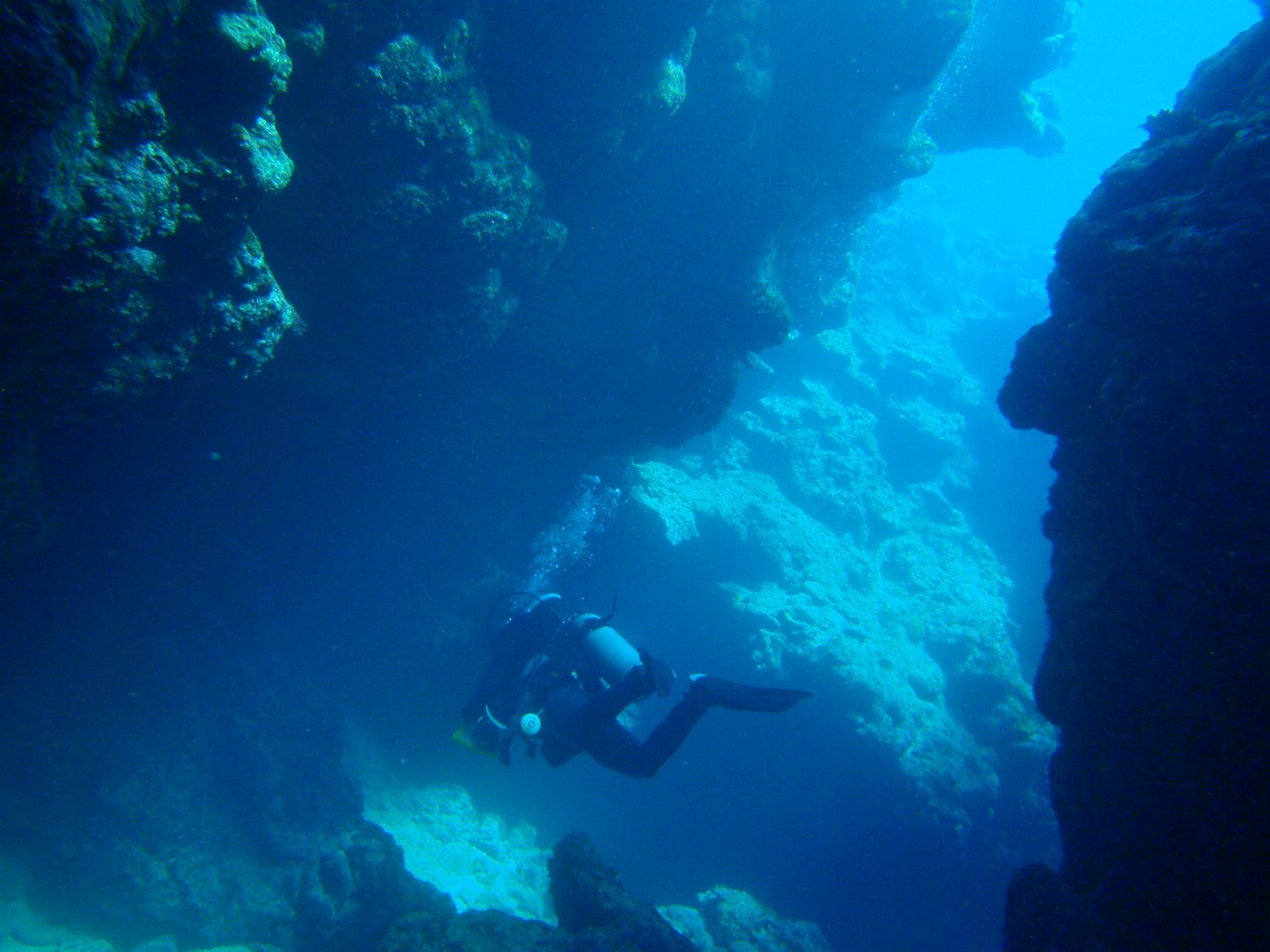 http://www.aquamarine-dive.net/blog/index.html/2014/11/07/PA313300.jpg