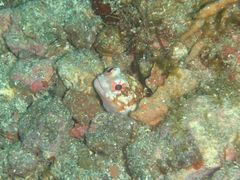 P7223231_1.jpg