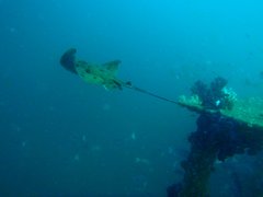P8173274_1.JPG