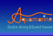 Aquamarine アクアマリン　Scuba diving&Guest house
