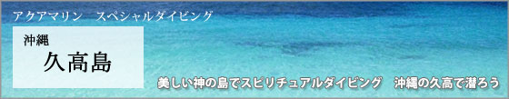 アクアマリン スペシャルダイビング 沖縄 久高島